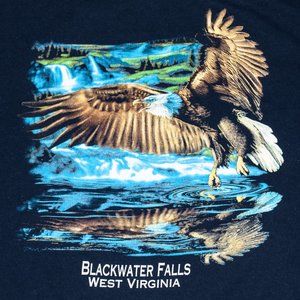 VTG Single Stitch Blackwater Falls West Virginia